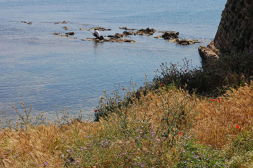 Chorafakia - Chania - Chania